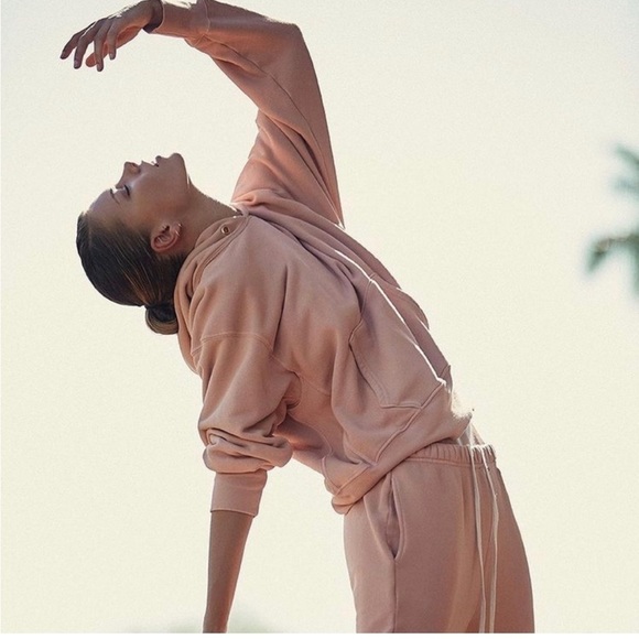 Les Tien Relaxed Cotton Pullover Hoodie Mauve Size Medium M - Picture 10 of 10